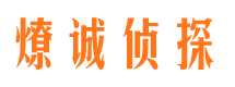 佛坪市场调查